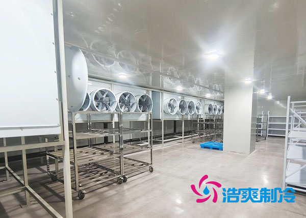 速凍隧道日皮网站在线观看安裝費用