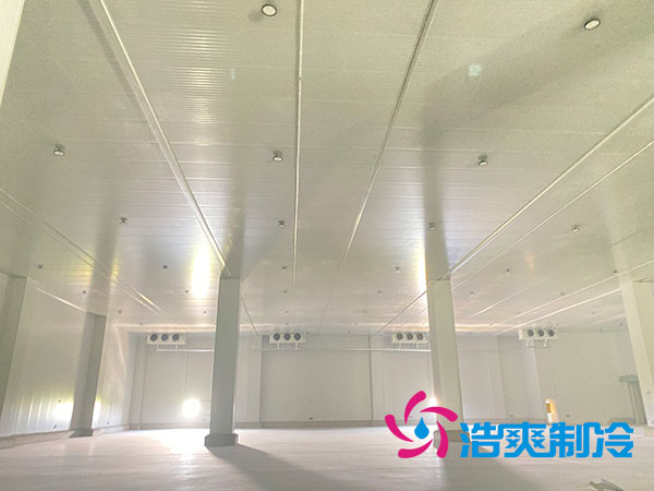 蔬菜日皮网站在线观看設計方案
