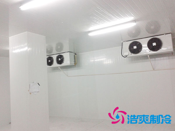 佛山雪糕冷凍庫價格多少錢？-日皮APP免费下载製冷