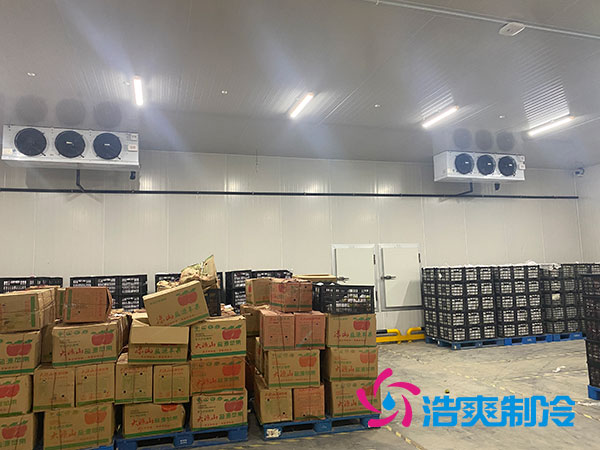 衡陽大型水果日皮网站在线观看造價多少錢一平方？-日皮APP免费下载製冷