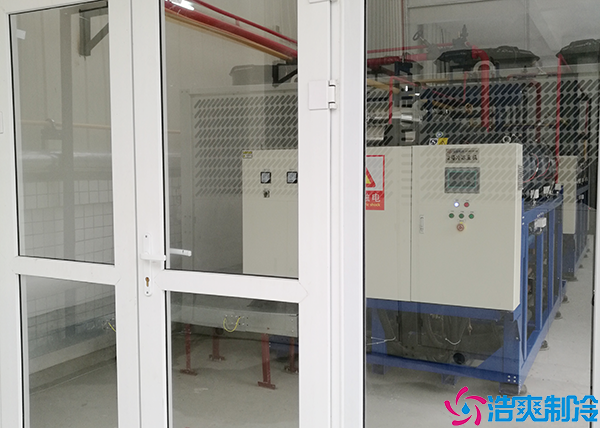 日皮网站在线观看