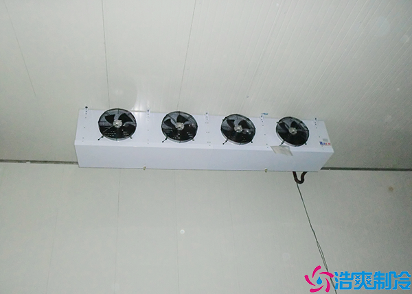 低溫食品日皮网站在线观看