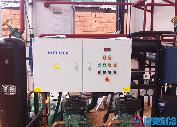 速凍日皮网站在线观看