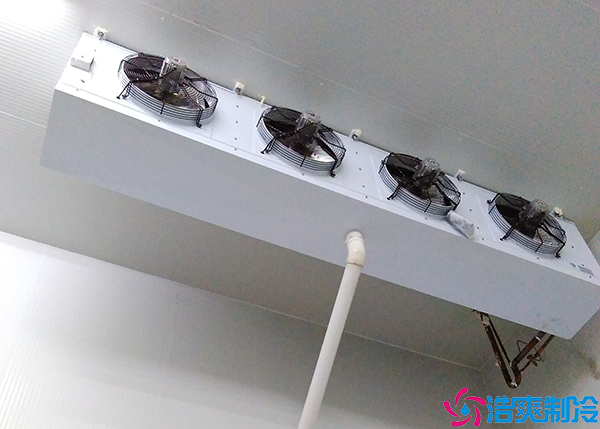 排酸日皮网站在线观看