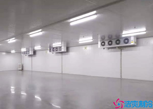 日皮网站在线观看噴塗