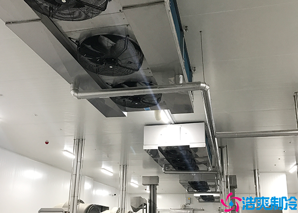 日皮网站在线观看