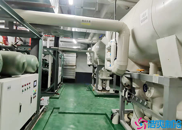 日皮网站在线观看