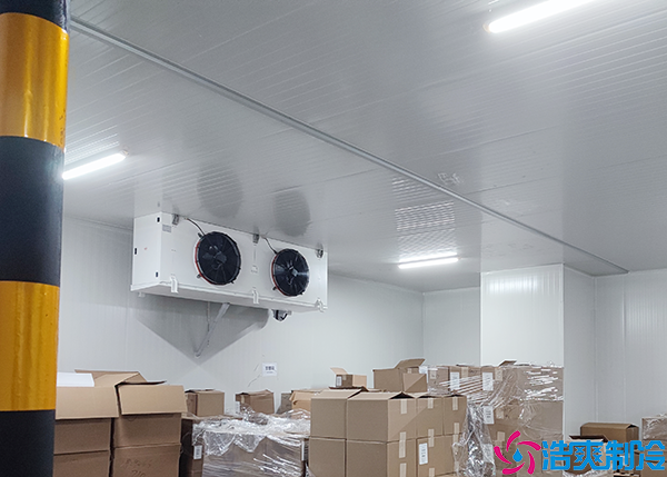 排酸日皮网站在线观看