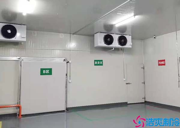 速凍日皮网站在线观看