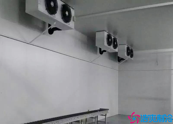 日皮网站在线观看