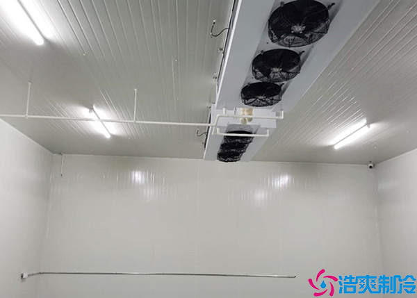 預日皮网站在线观看