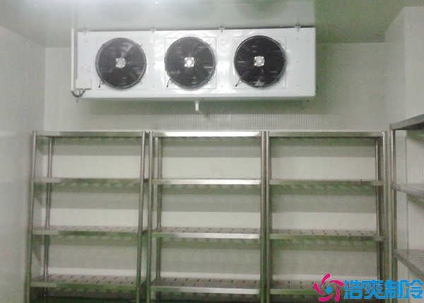 物流日皮网站在线观看