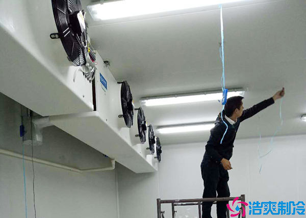 水果保鮮日皮网站在线观看