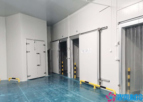 食品日皮网站在线观看