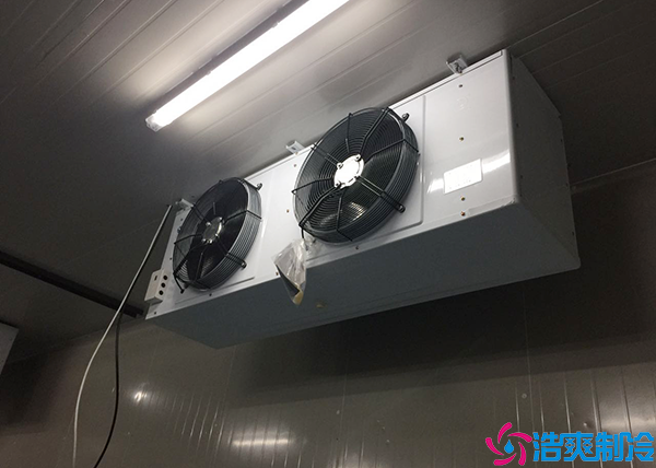 單雙溫日皮网站在线观看