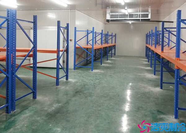 單雙溫日皮网站在线观看