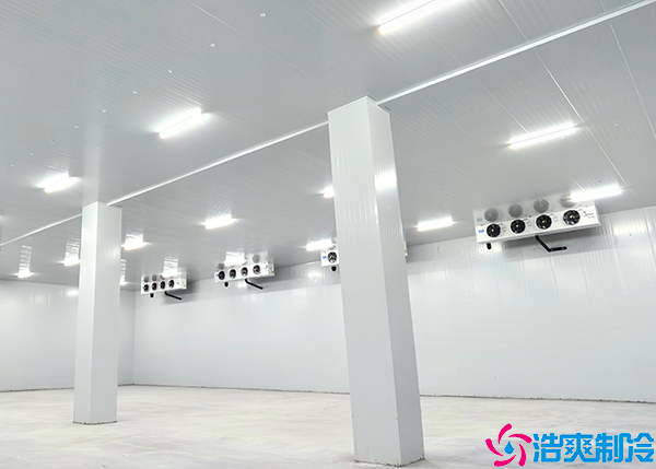 速凍日皮网站在线观看