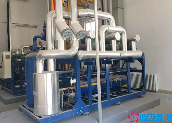 生鮮日皮网站在线观看