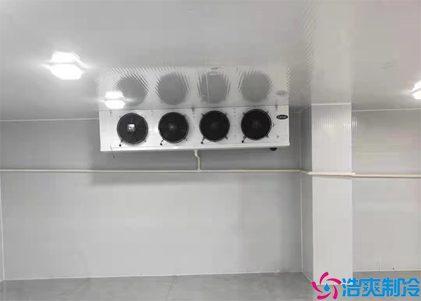 預日皮网站在线观看