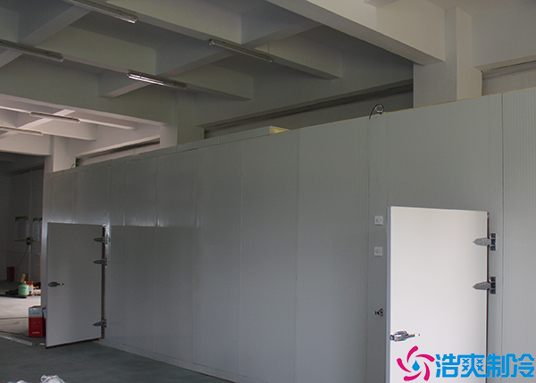 物流日皮网站在线观看