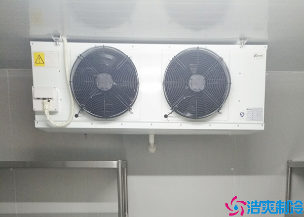 單雙溫日皮网站在线观看