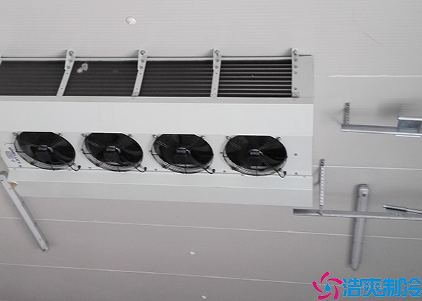 預日皮网站在线观看