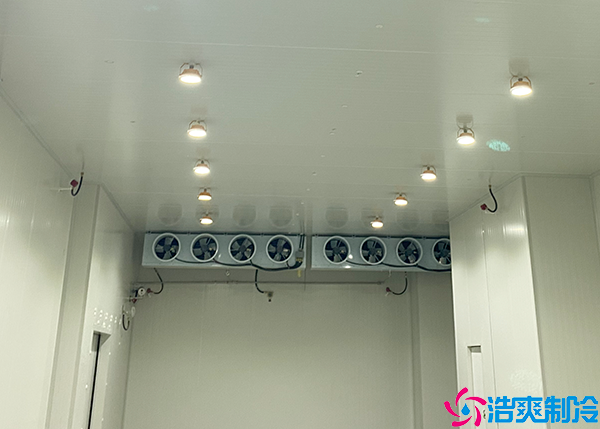 雙溫日皮网站在线观看