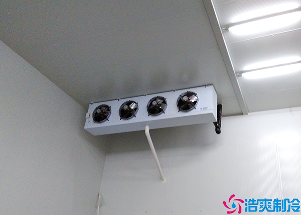 單雙溫日皮网站在线观看