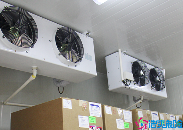 單溫日皮网站在线观看