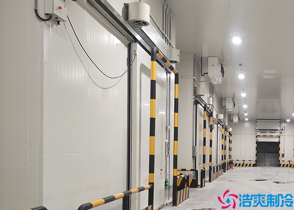 單溫日皮网站在线观看
