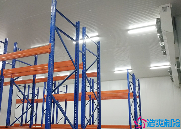 保鮮日皮网站在线观看