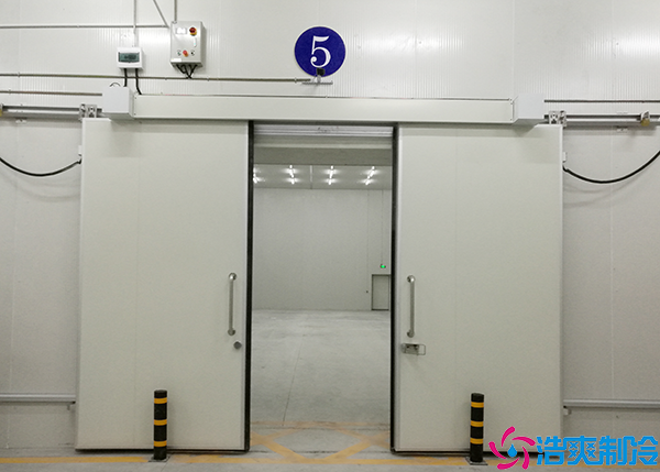 速凍日皮网站在线观看