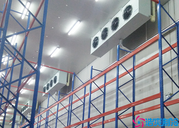 速凍日皮网站在线观看