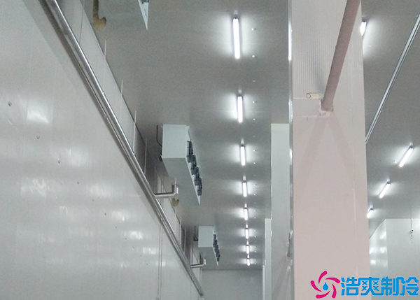 冰淇淋日皮网站在线观看