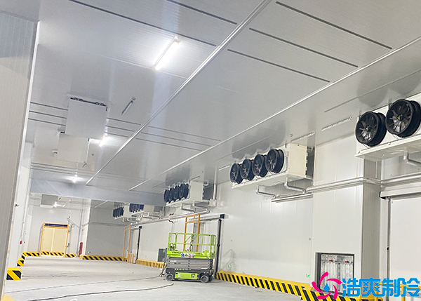 排酸日皮网站在线观看