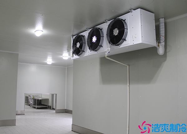 食品日皮网站在线观看