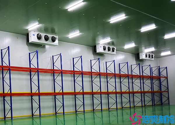 組合式日皮网站在线观看