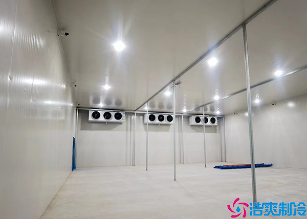 海鮮日皮网站在线观看