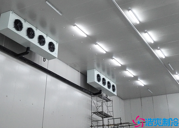 水產小型日皮网站在线观看