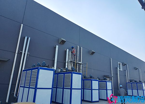 氣調日皮网站在线观看