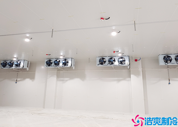 電商生鮮日皮网站在线观看