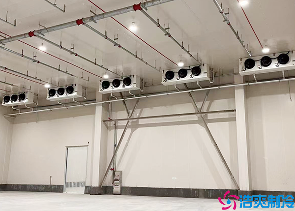 日皮网站在线观看改造