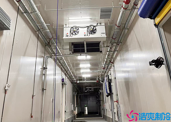 氣調日皮网站在线观看