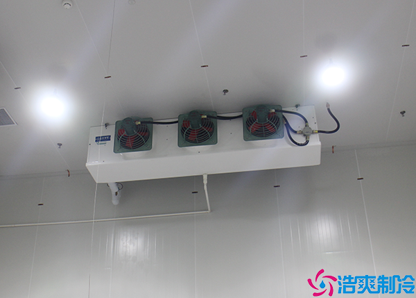 花卉日皮网站在线观看