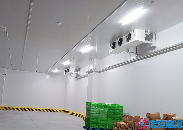 生鮮物流日皮网站在线观看