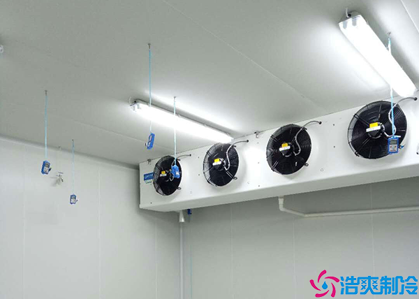 低溫日皮网站在线观看