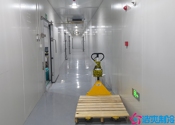 小型物流日皮网站在线观看