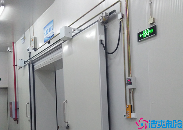 水果氣調日皮网站在线观看