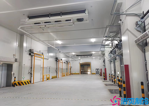 物流日皮网站在线观看