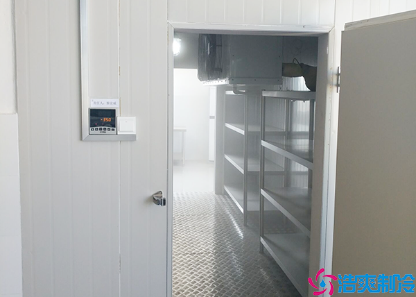 牛肉小型日皮网站在线观看